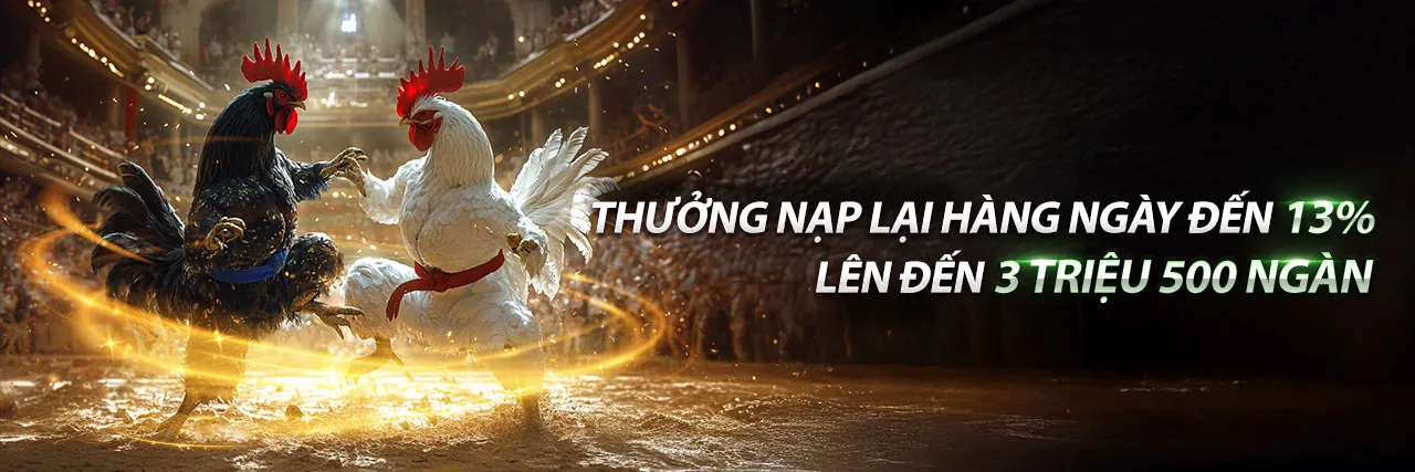 Đá Gà k88cc Đăng Nhập